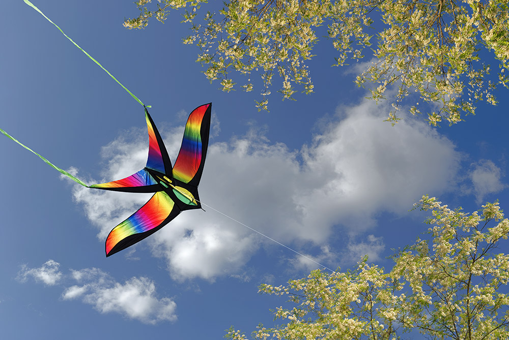 kite 02 _ 23k x 15k